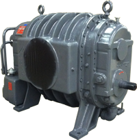 Roots Blower vacuum pump repair