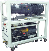 Edwards Pumps